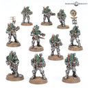 SOLAR AUXILIA: VELETARIS STORM SECTION