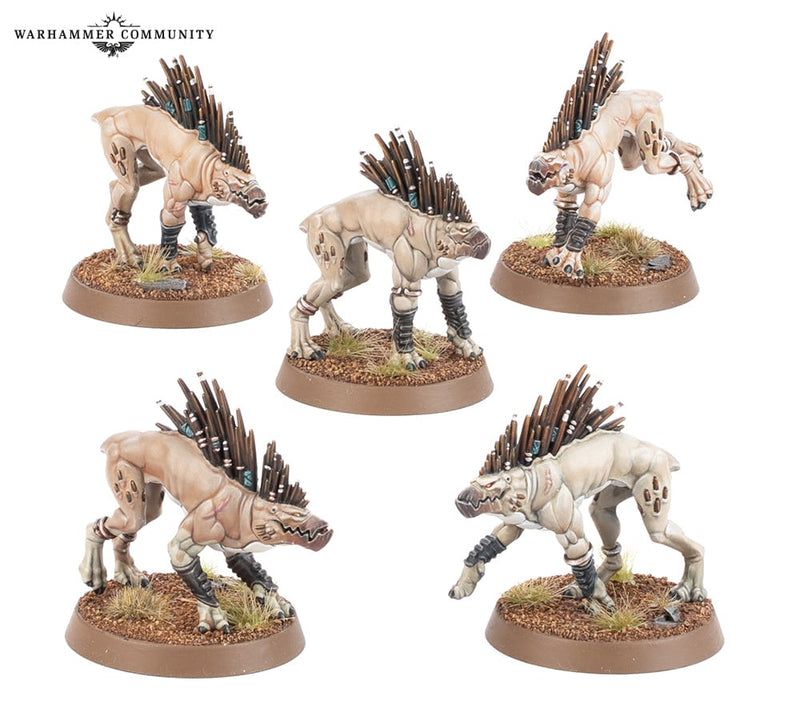 T'AU EMPIRE: KROOT HOUNDS