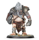 WARCRY: FOMOROID CRUSHER