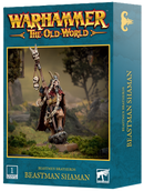 BEASTMEN BRAYHERDS: BEASTMAN SHAMAN