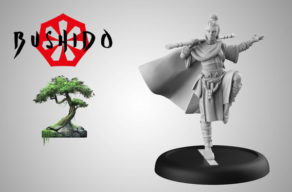 Hiko, Traveling Monk (GCTBTR048)