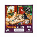 1000 PIECE PUZZLE CATS IN QUARANTINE (PQUAR-1K-6) EN