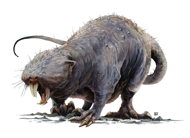 Undermole (GCTBTD032)