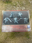 Bushido: Ring of Fire Themed Warband – TableCon 2025 Singapore Exclusive