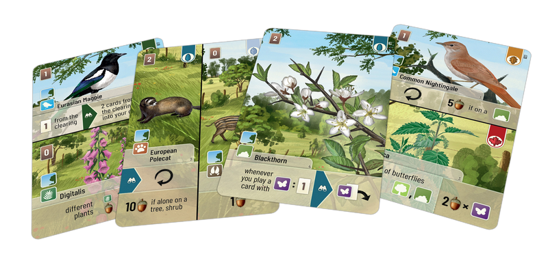 Forest Shuffle: Woodland Edge