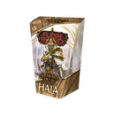Armory Deck - Hala