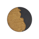 Soilworks Acrylic Paste - Jungle Soil