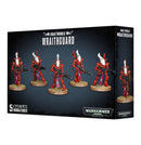 AELDARI: WRAITHGUARD