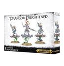 TZEENTCH ARCANITES TZAANGOR ENLIGHTENED