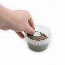 Base Ready Wasteland Soil