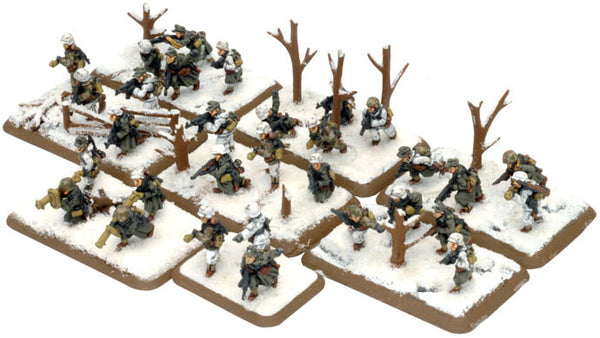 Sturm Platoon (winter)