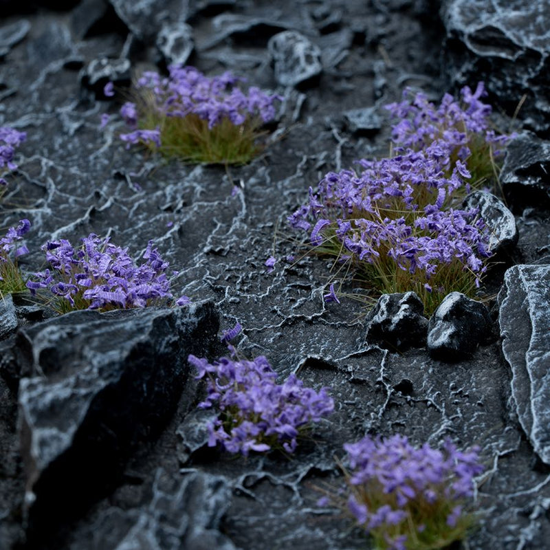 Gamergrass wild flowers ASSORTED