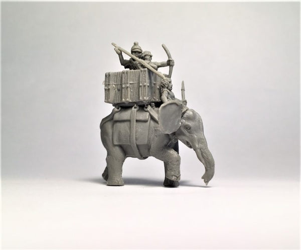 Carthaginian Elephants Pouch