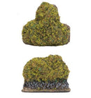 BB244 Bocage Extras Flames of War- Blitz and Peaces