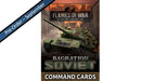 FW266C Bagration: Soviet Command Cards LP