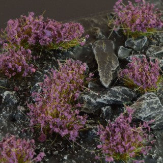 Lavender Flowers